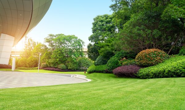 Cost of Commercial Lawn Mowing in Ringgold