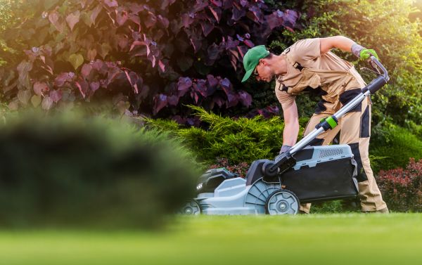 Cost of Lawn Care And Maintenance in Ringgold