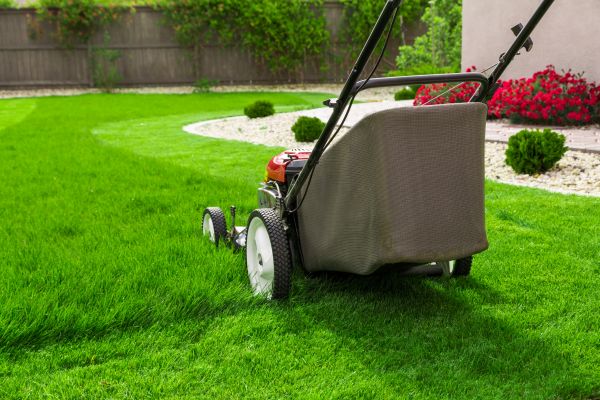 Cost of Lawn Mowing in Ringgold