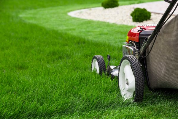 Cost of Mowing Service in Ringgold