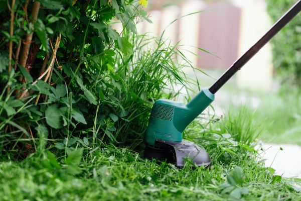 Cost of Weed Whacking in Ringgold