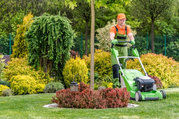 Cost of Yard Service in Ringgold