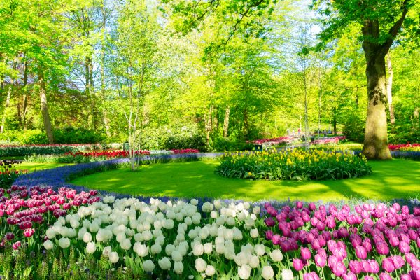 Cost of Spring Lawn Care in Ringgold