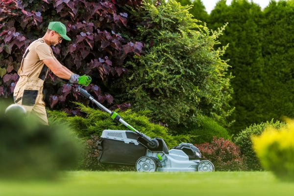 Cost of Lawn Management in Ringgold