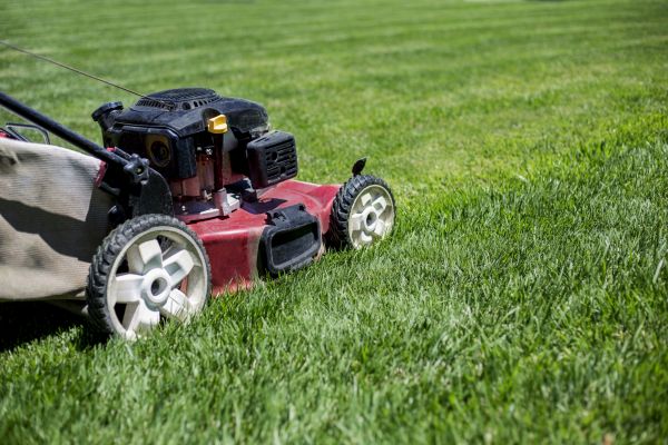 Cost of Routine Lawn Care in Ringgold