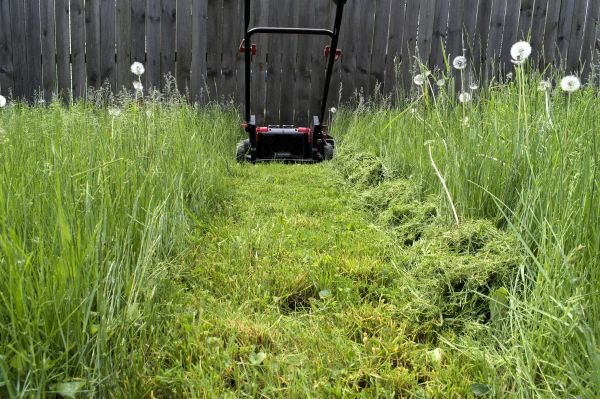 Cost of High Grass Mowing in Ringgold