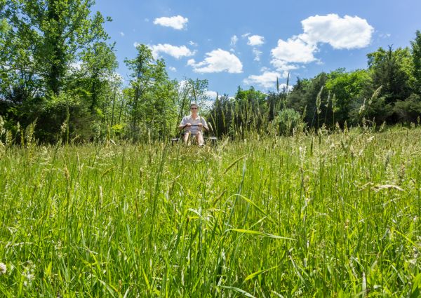 Cost of Long Grass Mowing in Ringgold
