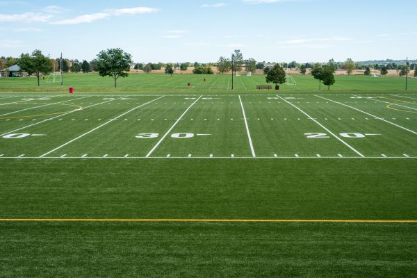 Cost of Groundskeeping Service in Ringgold
