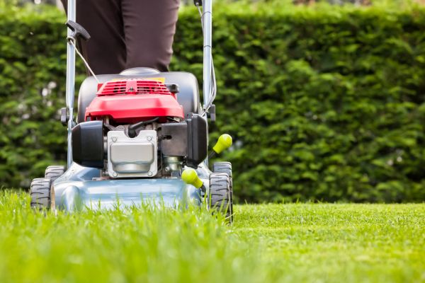Cost of Grass Trimming Service in Ringgold
