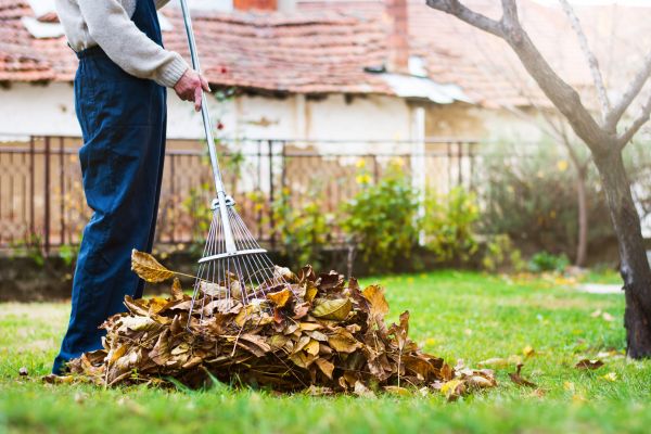 Cost of Routine Lawn Maintenance in Ringgold