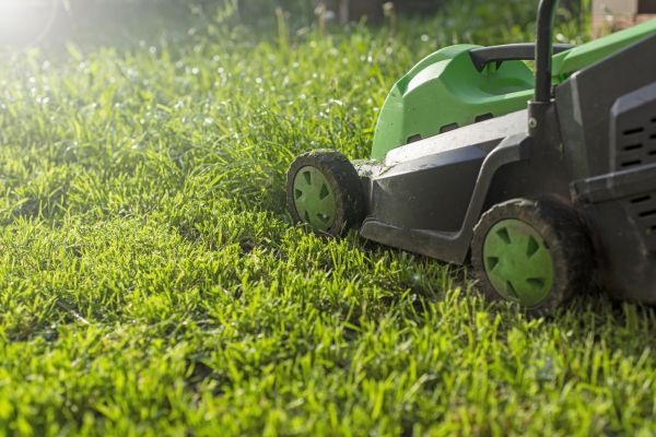 Cost of Lot Mowing in Ringgold