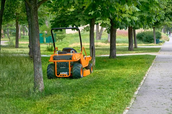 Overgrown Grass Mowing