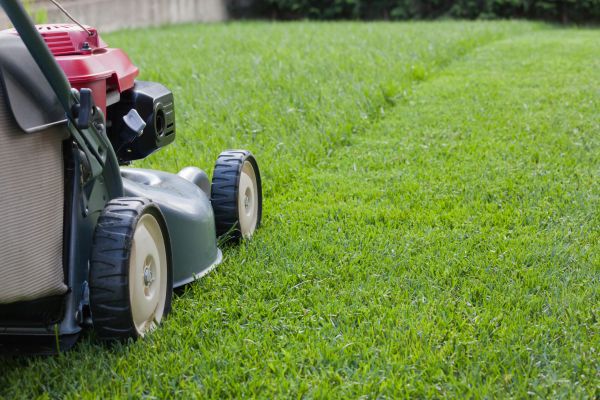 Cost of Spring Lawn Maintenance in Ringgold