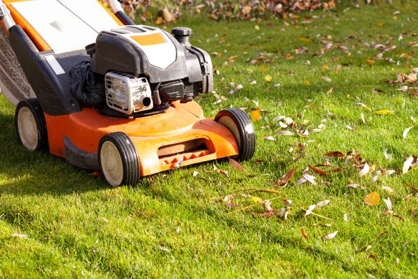 Cost of Fall Mowing in Ringgold