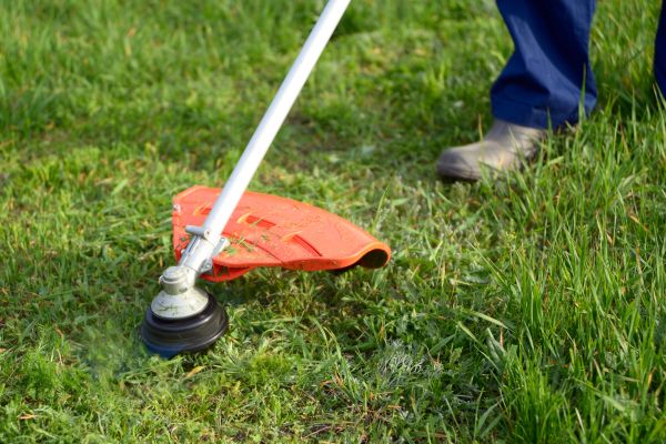 Cost of Lawn Weed Whacking in Ringgold