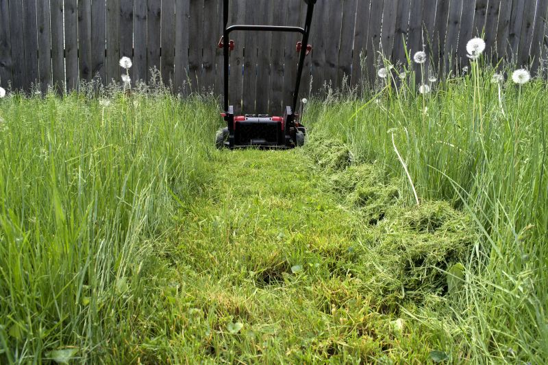 High Grass Mowing
