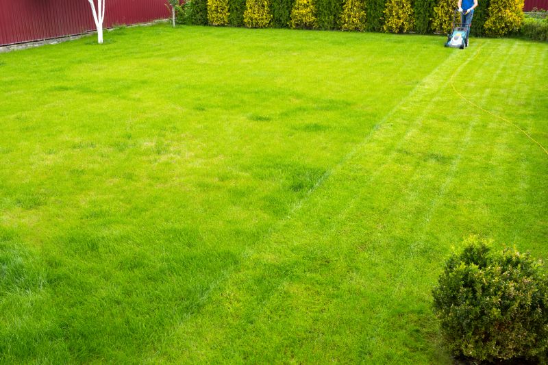 Summer Lawn Maintenance