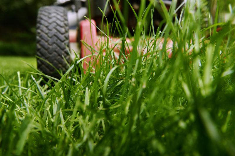 Close-up of Mowed Grass