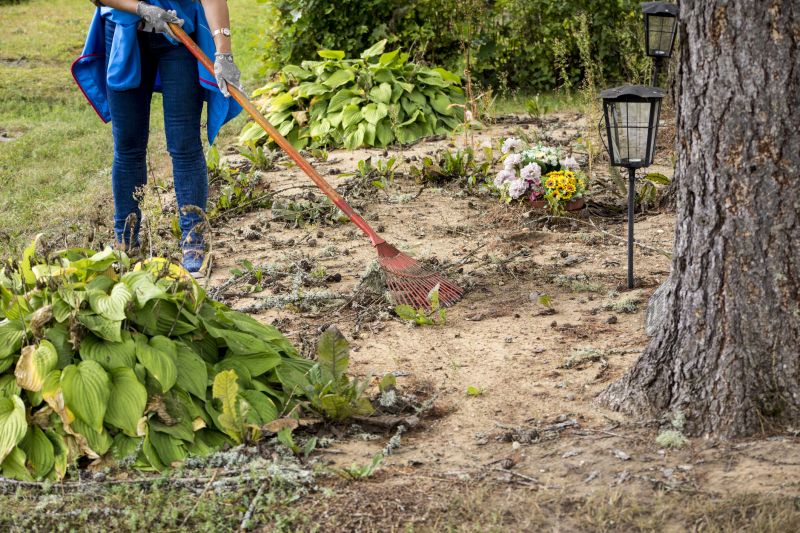 Thatch Removal Service