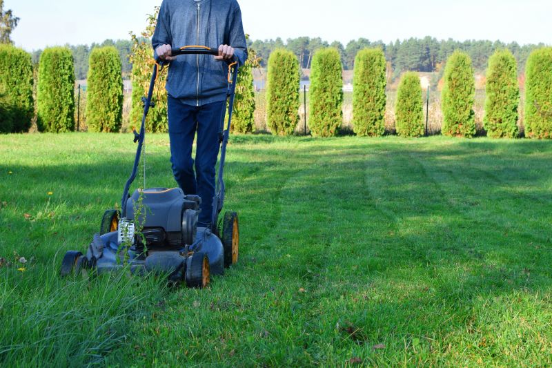 Affordable Lawn Mowing Services